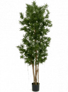 Umelá rastlina Podocarpus 150 cm
