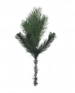 Vianočná vetvička borovica 3D 40cm
