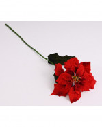Vianočná ruža zamatová červená 65 cm
