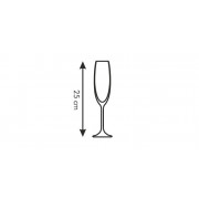 Tescoma poháre na šampanské Sommelier 210 ml, 6 ks