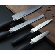 4 db konyhai kés készlet IVO Premier 90075 + kétfokozatú késélező INGYEN
