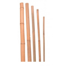 Bambus. tyč prírodná 22/24 240cm