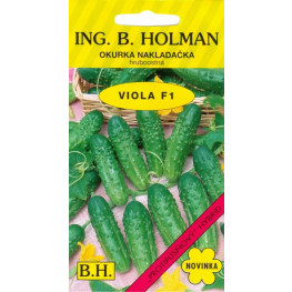 Uhorky nakl. Viola F1 H 2,5g HOLMAN
