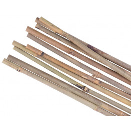 STREND PRO Tyč oporná bambusová 1500mm