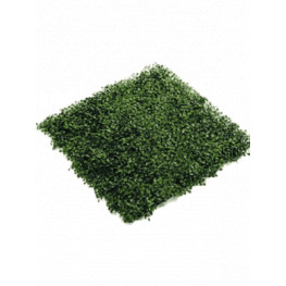 Boxwood Mat green (weather resistant) 50x50 cm