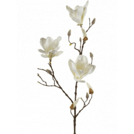 Magnolia Spray cream v.90 cm