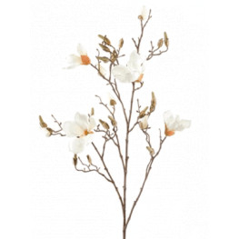 Magnolia Cream branche v. 105cm