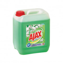 Ajax univerzálny čistiaci prostriedok Floral Fiesta Flower of Spring 5 l