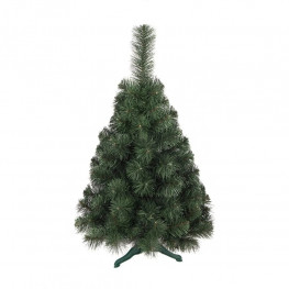 Vianočný stromček borovica obyčajná 90cm