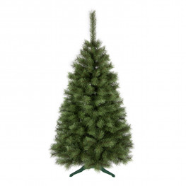 ROY Vianočný stromček borovica obyčajná, 180 cm