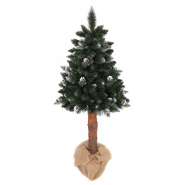 Vianočný stromček borovica strieborná so šiškami De Lux na kmeni 120cm