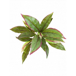 Umelá rastlina Cordyline Bush zelená/červená 30 cm