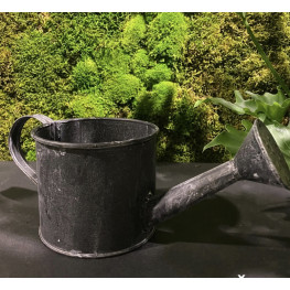 Ceramic pot Watering can 12 cm