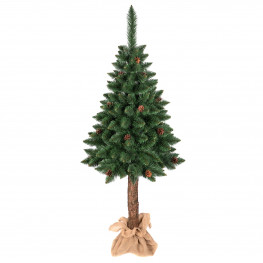 Vianočný stromček borovica klasická na kmeni so šiškami 180cm