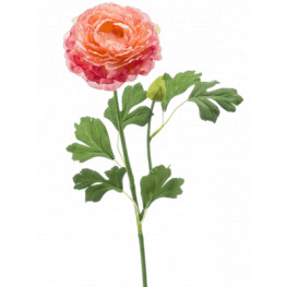 Umelý kvet Ranunculus ružový 53 cm