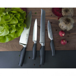 Sada 4 kuchyňských nožů IVO Premier 90075