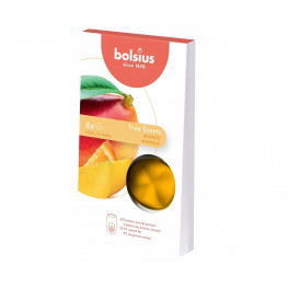 BOLSIUS Vosk vonný True Scents mango 6ks/bal