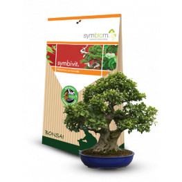 Symbivit Symbiom Bonsai mykorhizne huby pre bonsaje 150 g