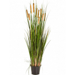 Umelá tráva Cattail grass 120 cm