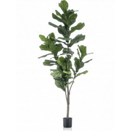 Umelá rastlina Ficus lyrata 150 cm