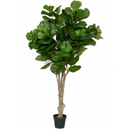 Umelá rastlina Ficus lyrata 180 cm