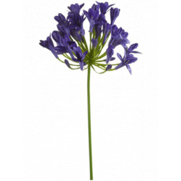 Umelý kvet agapanthus modrý 75 cm
