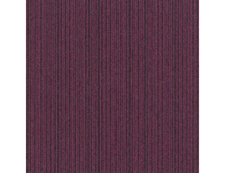 Kobercové čtverce EXPANSION POINT fialové 50x50 cm
