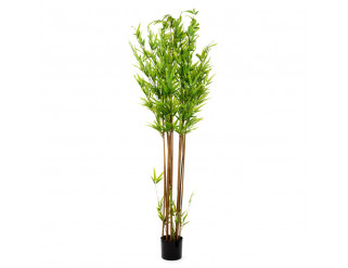 Umelá rastlina TROPICAL ZONE bambus 877921 180 cm