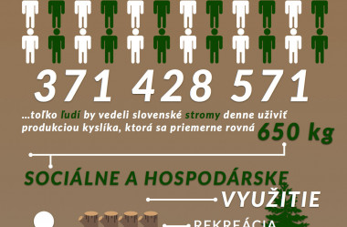 Stromy na Slovensku : Infografika