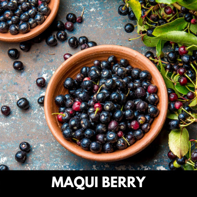 Maqui berry extrakt