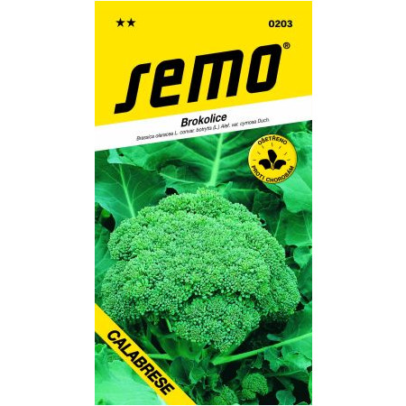 Brokolica Calabrese 24 SEMO 0203