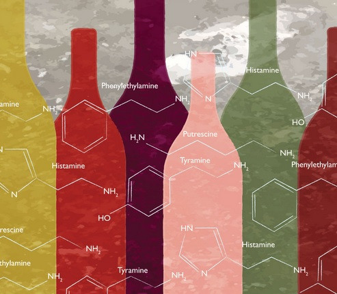​  Biodynamické víno je životný štýl založený na rešpekte k životu
