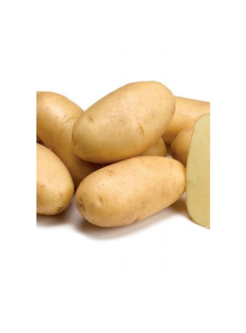 zemiaky sadbové