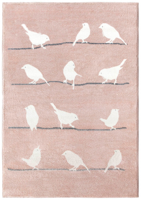 Dětský koberec BIRDS