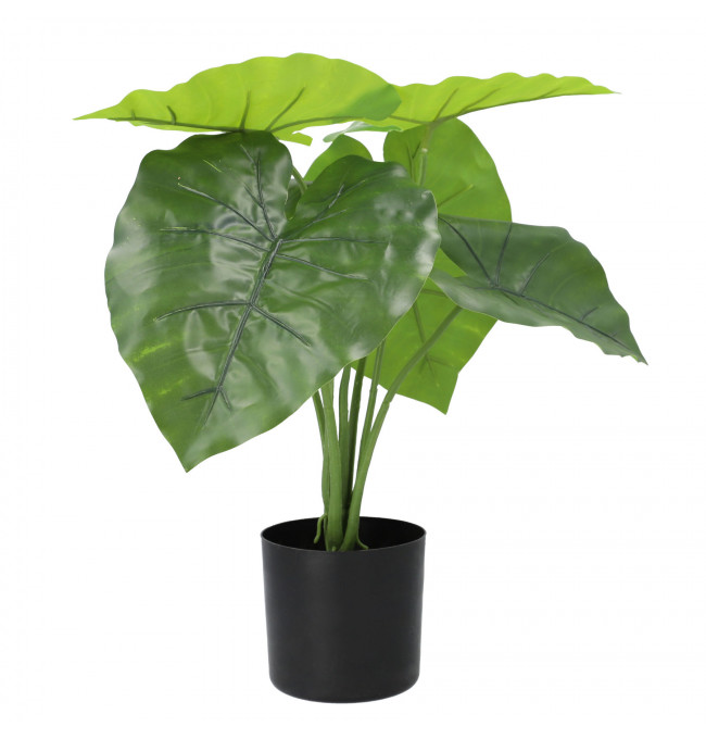 Umelá rastlina FILODENDRON zelená 50 cm