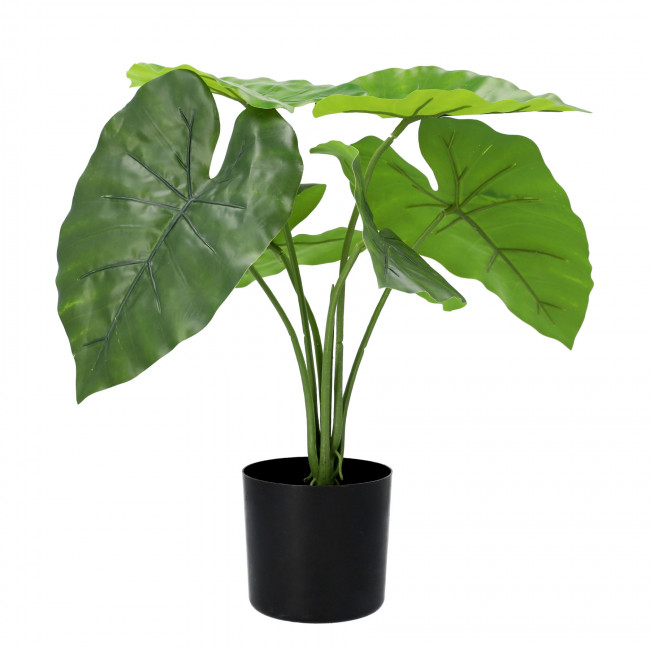 Umělá rostlina FILODENDRON zelená 50 cm