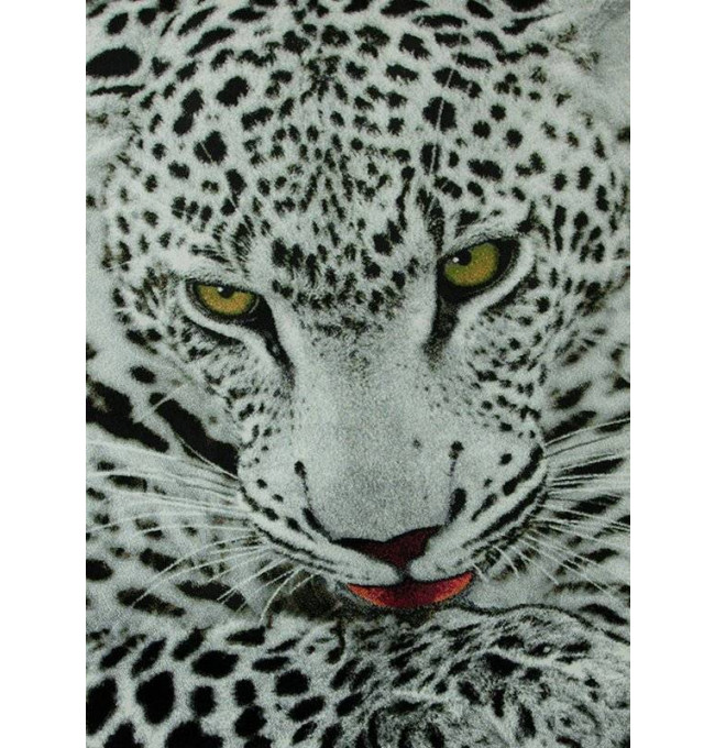 Koberec Rainbow 11122/190 leopard  sivý / čierny