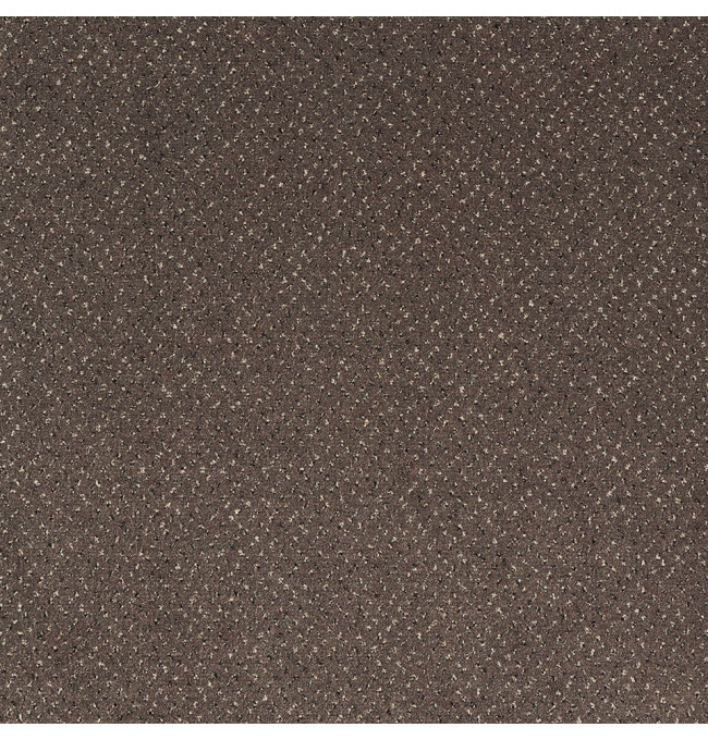 Metrážový koberec FORTESSE hnědý