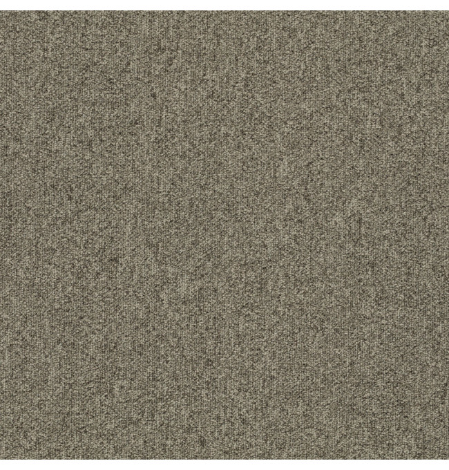 Kobercové štvorce TESSERA TEVIOT sivo-béžové 50x50 cm