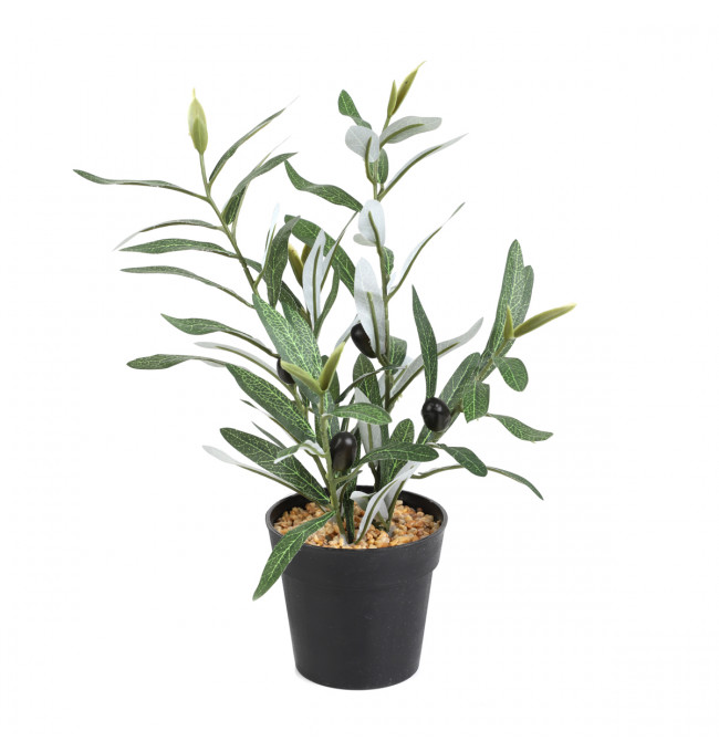 Umělá rostlina SEMELA olivovník 874999 35 cm