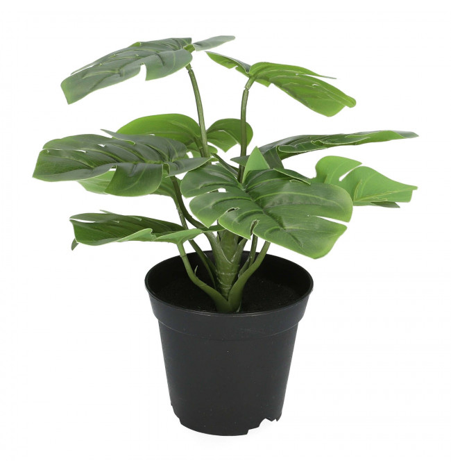 Umelá rastlina MONSTERA zelená 29 cm 
