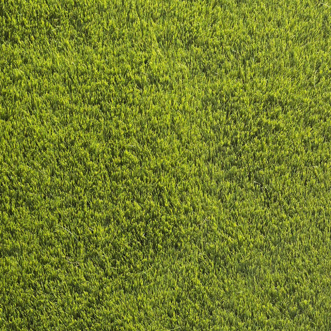 Umelá tráva Hemlock
