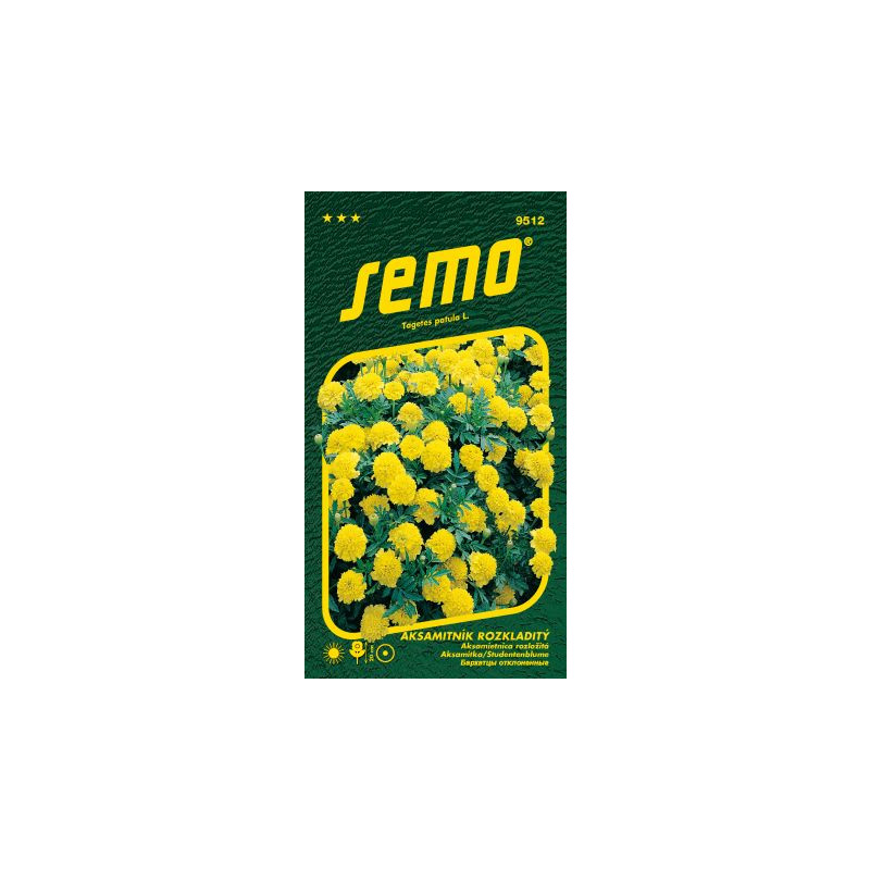 Aksamietnica rozl. Lemon Drop 24 SEMO 9512 
