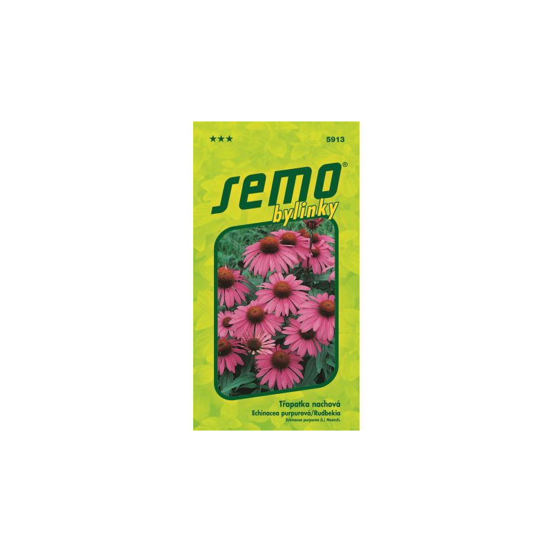 Echinacea purpurová liečivka 24 SEMO 5913