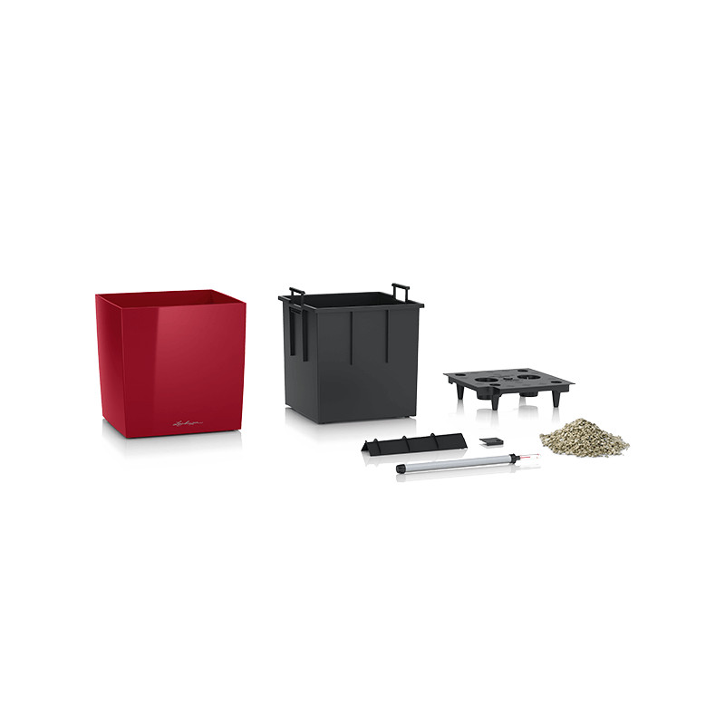 Lechuza Cube Premium All inclusive set scarlet red 30x30x30 cm
