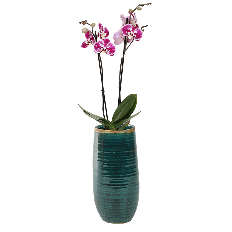 Indoor Pottery Pot Iris turqoise 12x26 cm
