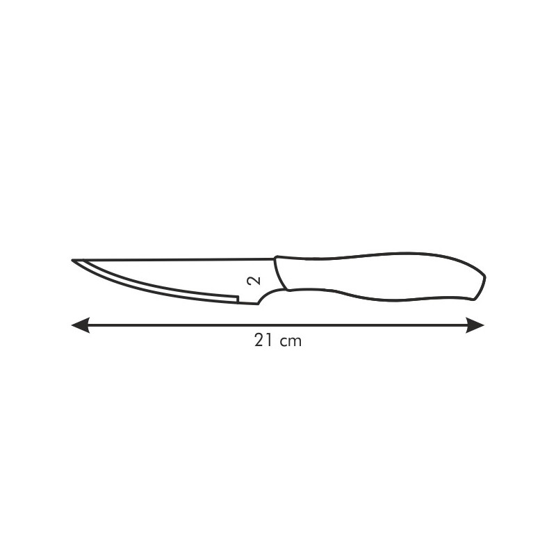 Tescoma nôž steakový SONIC 10 cm, 6 ks