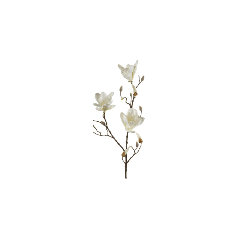 Magnolia Spray cream v.90 cm
