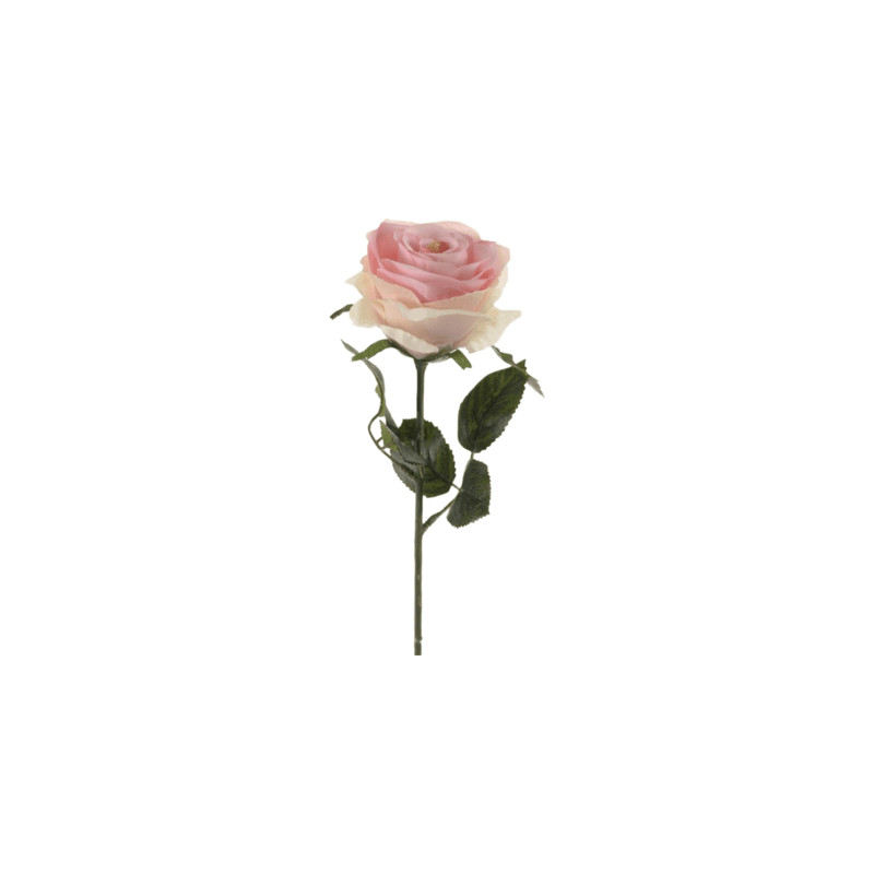 Rose Simone Pink (Ruza ruzova) 45 cm