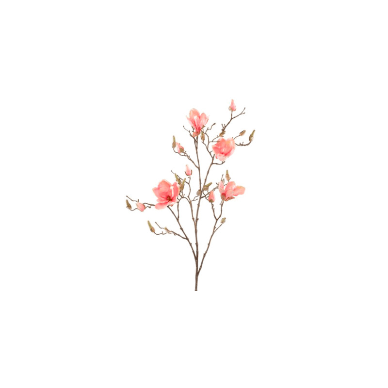 Magnolia Pink 105 cm